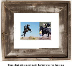 horse trail rides near me in Tarboro, North Carolina